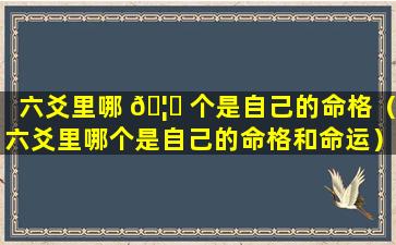六爻里哪 🦋 个是自己的命格（六爻里哪个是自己的命格和命运）